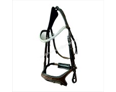 Leather Bridle 